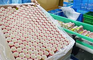 市面上紙罐包裝價格波動大嗎？